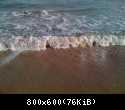 IMG 0269