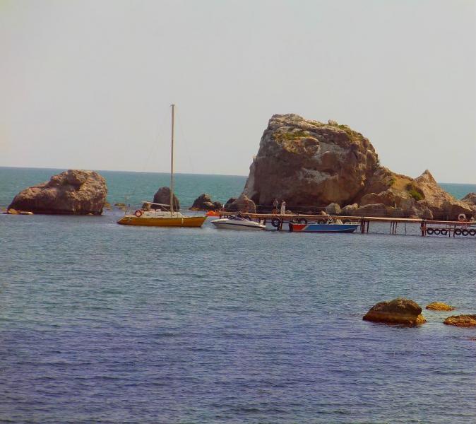 IMAG0334