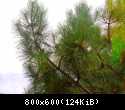 IMAG0428