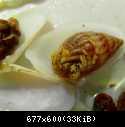 IMAG0496