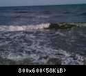 IMG 0270