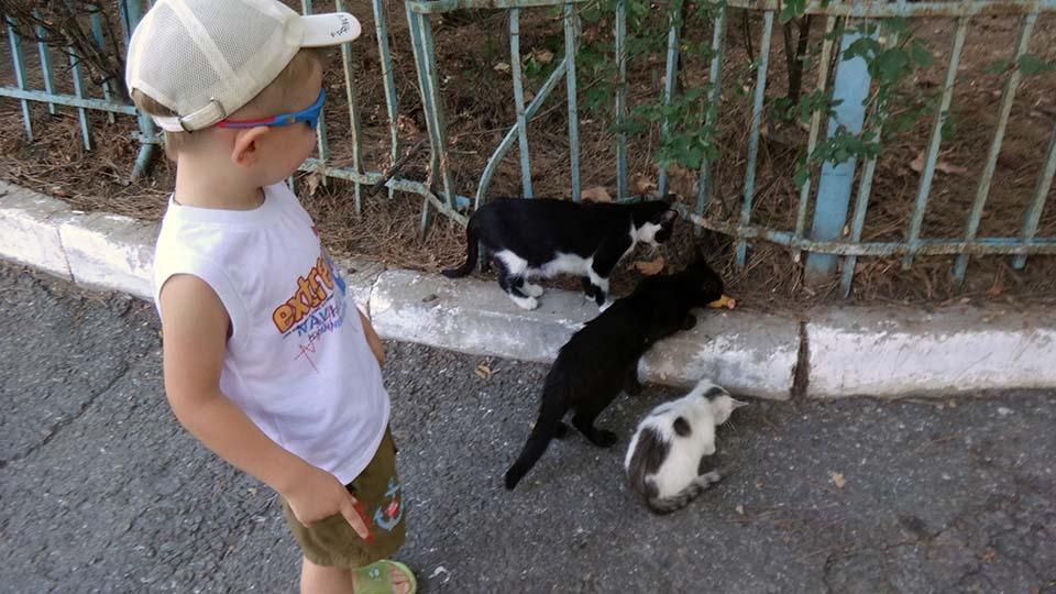 DSC00863