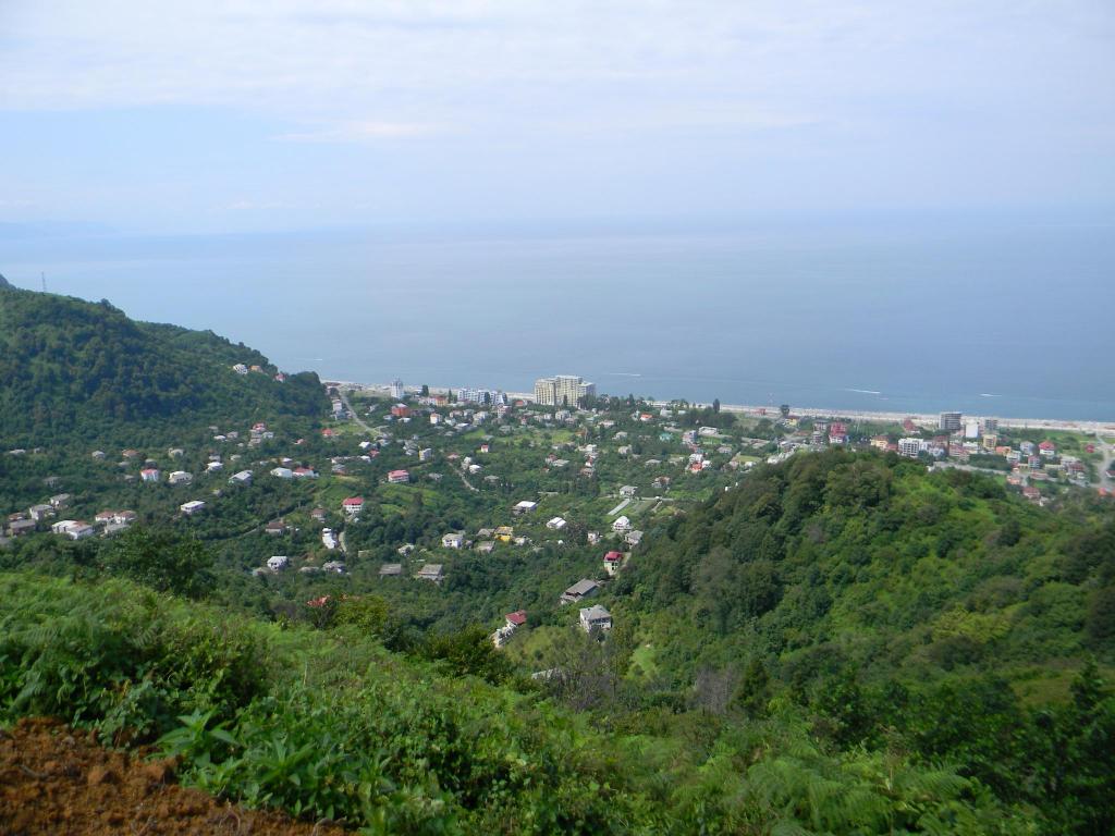 DSCN3621