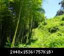 DSCN3392