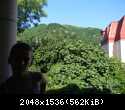 DSCN3350