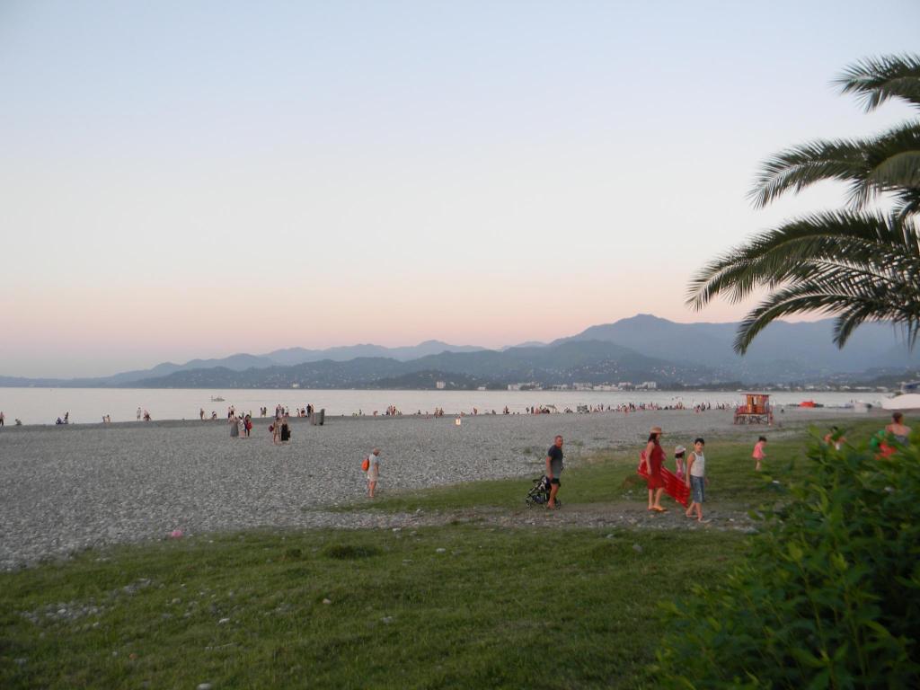 DSCN3568