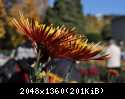 DSC 0930