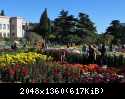 DSC 0937
