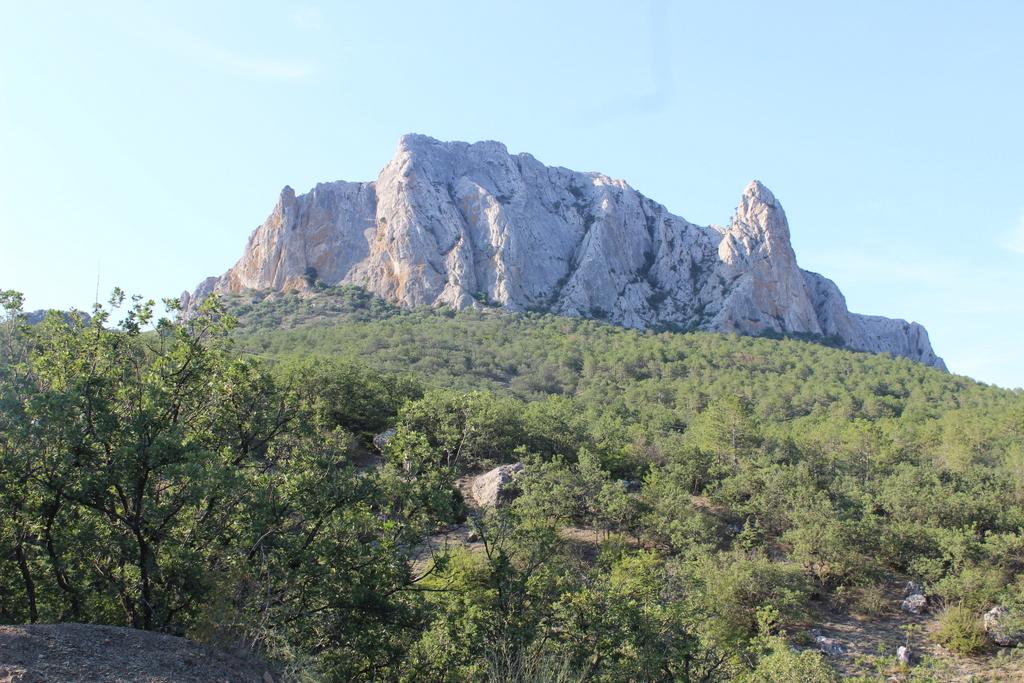 1-IMG 2339