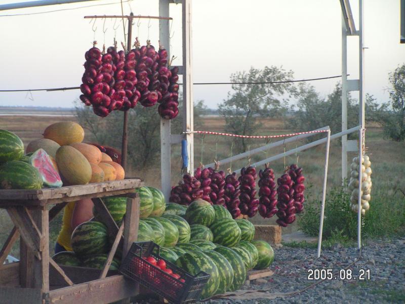 август 2005. вечер. у придорожного базарчика на Перекопе.