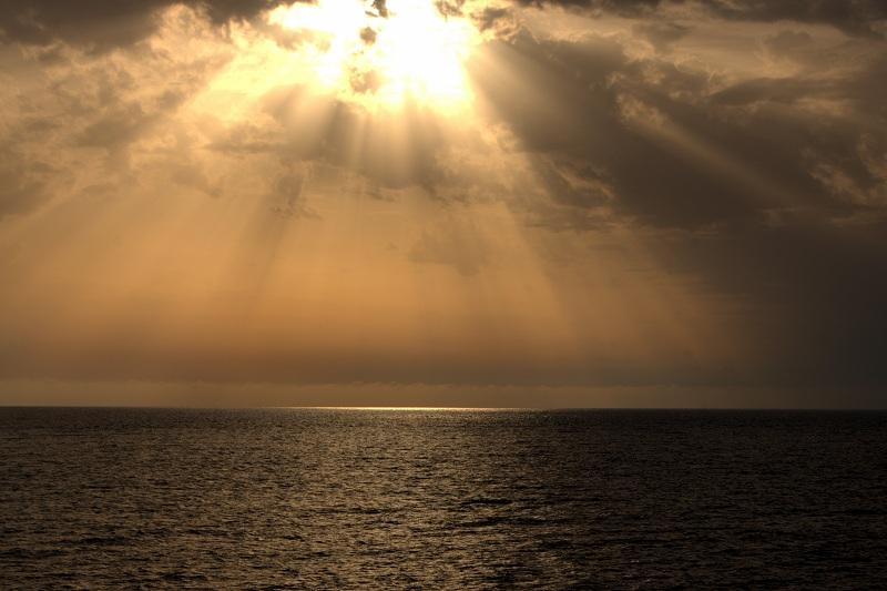 DSC01241