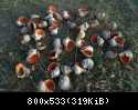 DSC01421