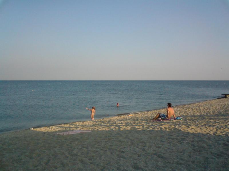DSC01010