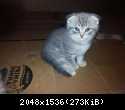 20140827 094208