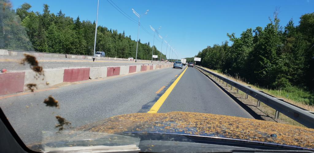 01-20180702 114921 resize