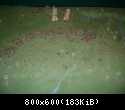 DSC02091