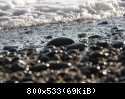 64