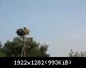 IMG 6397